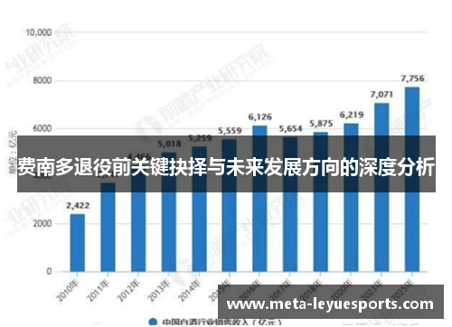 费南多退役前关键抉择与未来发展方向的深度分析 费南多退役前关键抉择与未来发展方向的深度分析
