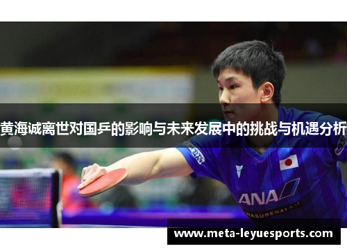 黄海诚离世对国乒的影响与未来发展中的挑战与机遇分析