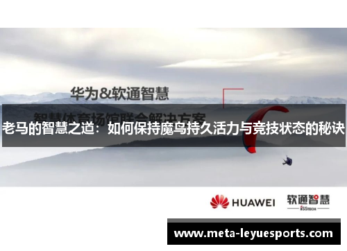 老马的智慧之道：如何保持魔鸟持久活力与竞技状态的秘诀