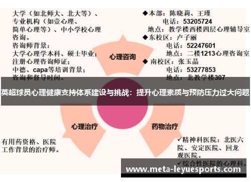 英超球员心理健康支持体系建设与挑战:提升心理素质与预防压力过大问题 英超球员心理健康支持体系建设与挑战:提升心理素质与预防压力过大问题