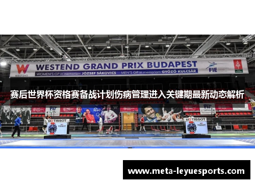 赛后世界杯资格赛备战计划伤病管理进入关键期最新动态解析 赛后世界杯资格赛备战计划伤病管理进入关键期最新动态解析